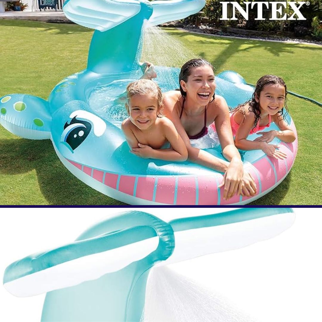 Piscina ballena kids