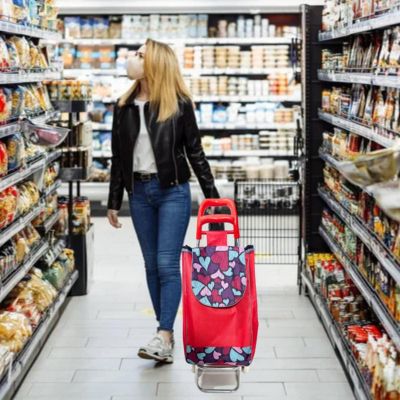 carrito de compras